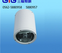 STD225壓鑄鋁筒燈